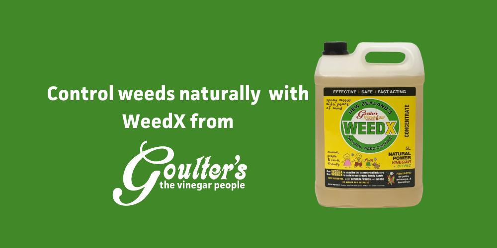 Organic WeedX Vinegar Weed Control Goulter's the vinegar people