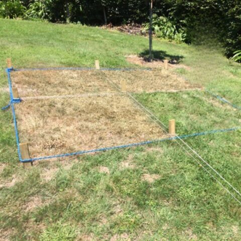 Organic WeedX Vinegar Weed Control