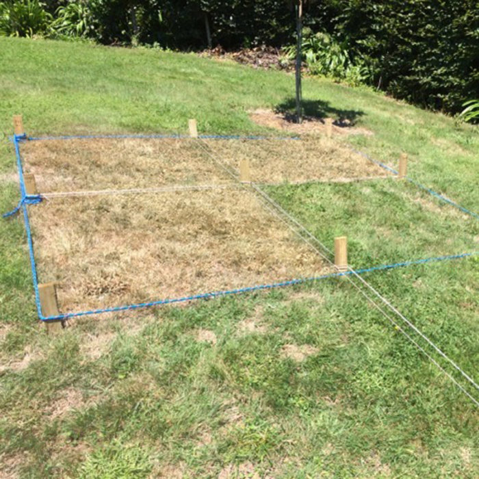 Organic WeedX Vinegar Weed Control - Image 6